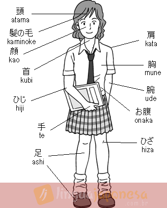 As partes do corpo em japonês